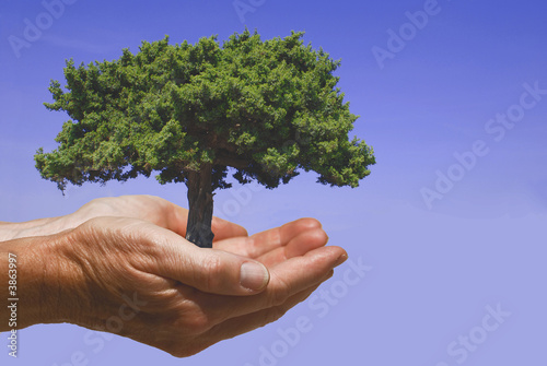 Hände mit Baum