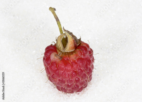 Raspberry