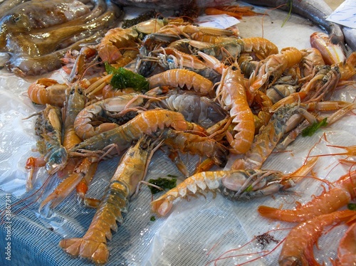 pesce fresco appena pescato al mercato del pesce cicala di mare