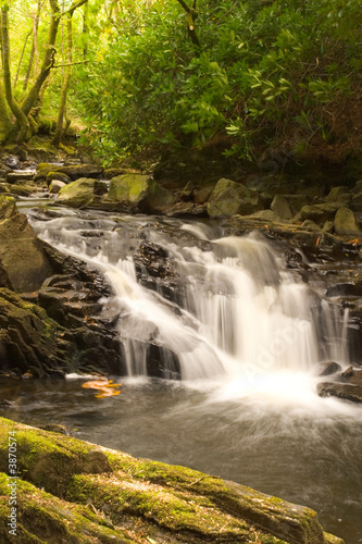 Fototapeta Naklejka Na Ścianę i Meble -  A waterfall in the woods, Wales