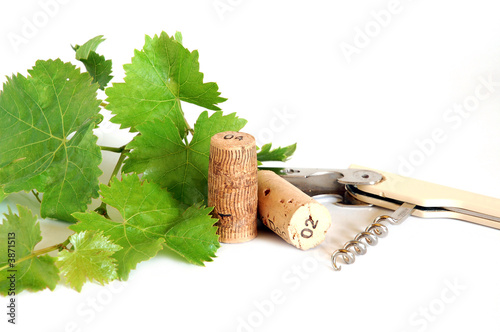 Corkscrew and corks with grape leaves photo