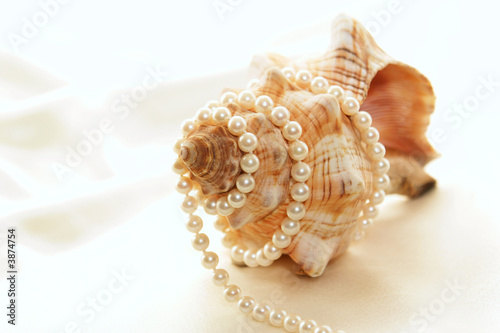 pearls wrapped around conch
