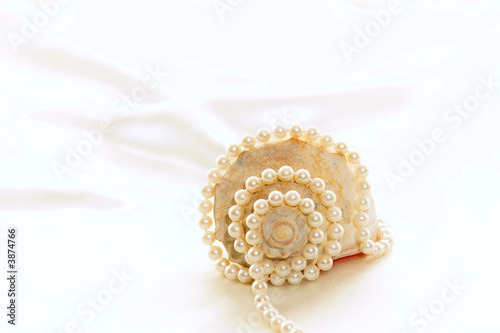 shell and pearls