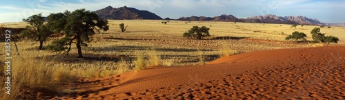 Paysage du Désert du Namib - Saison sèche