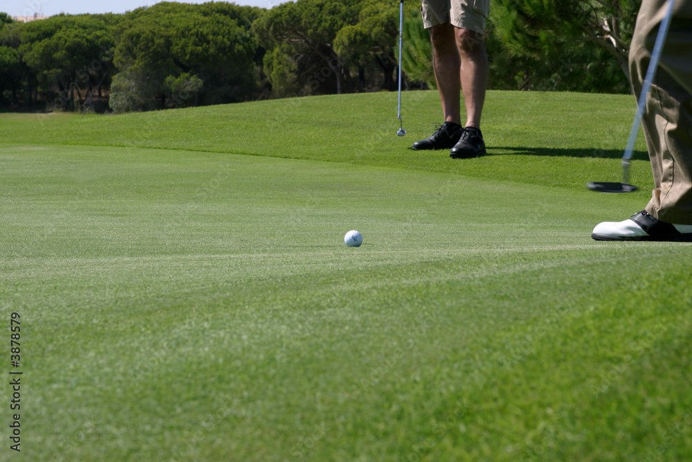 Obraz premium putt
