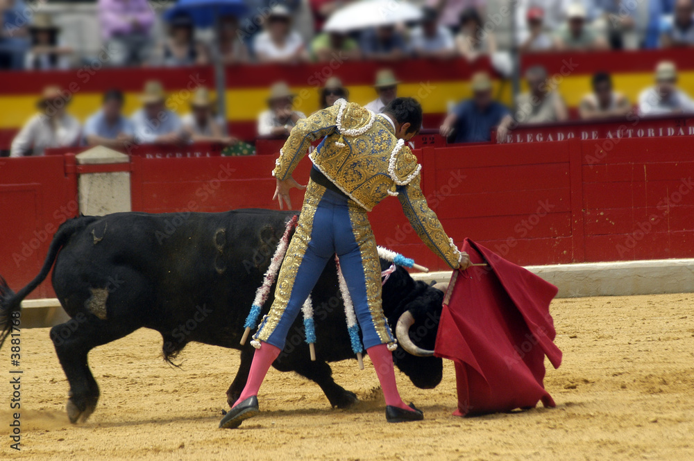 Naklejka premium manzanares-316