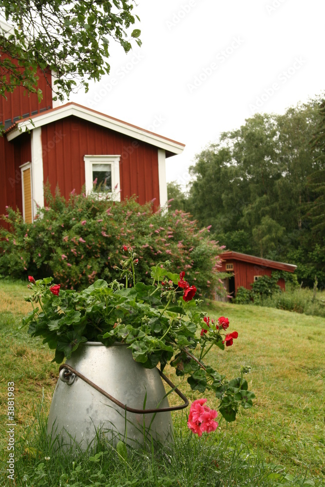 Obraz premium schwedenhaus