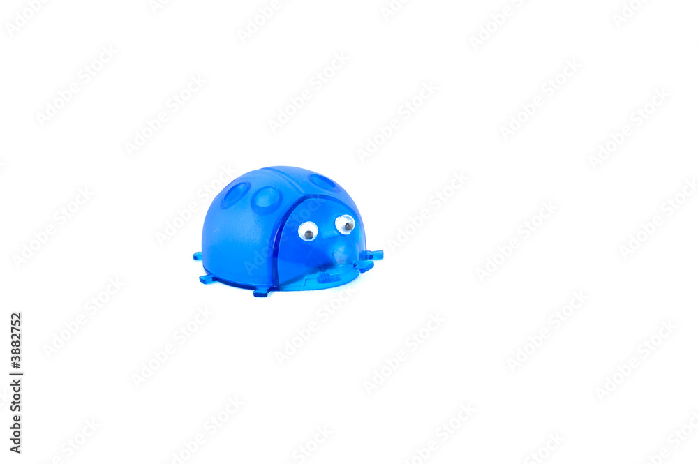 blue pointsetter in shape of a ladybug blue pointsetter in shape of a ladybug
