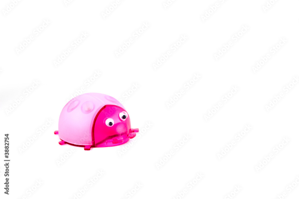 pink pointsetter in shape of a ladybug pink pointsetter in shape of a ladybug