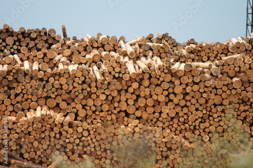 wood-stack