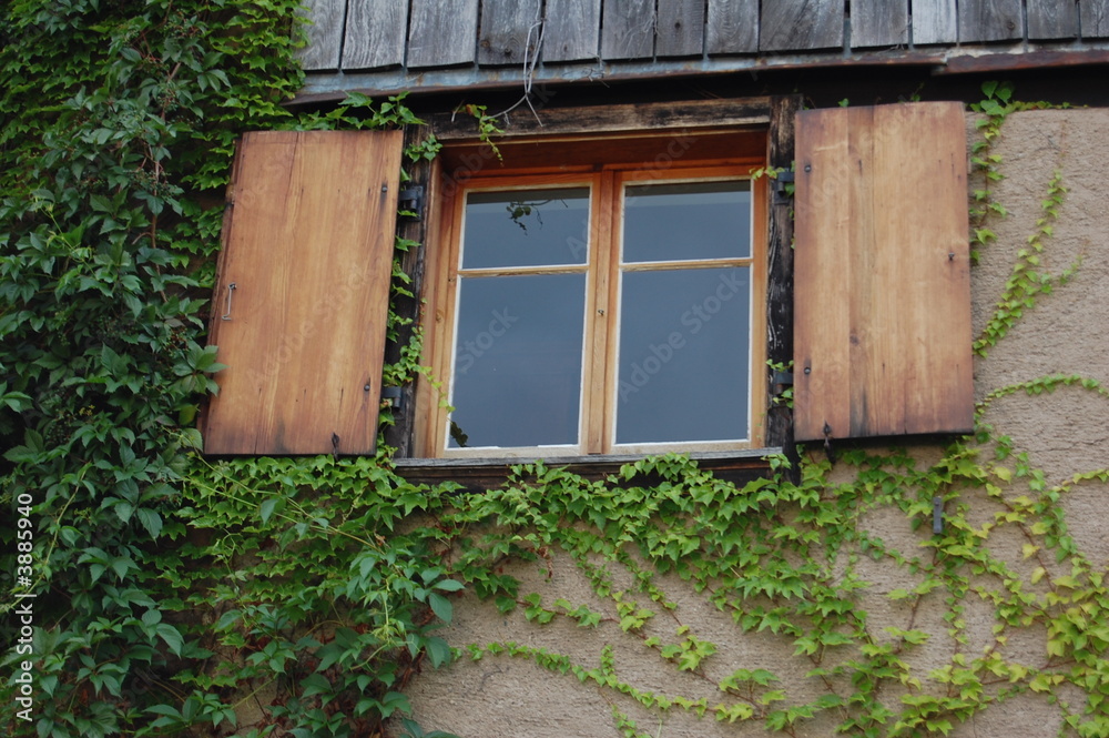 Fenster mit Ranken