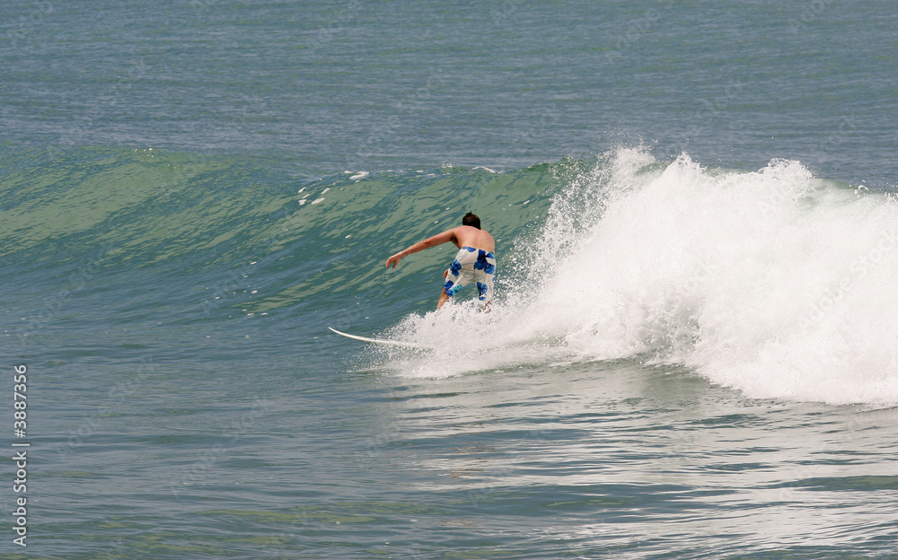 surf surf
