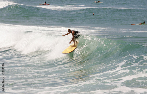 Photography surf longboard