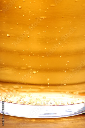 Cider Pint