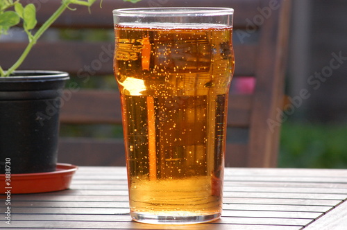 Cider Pint