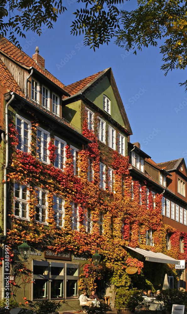 Herbstlaub, Ballhof, Hannover