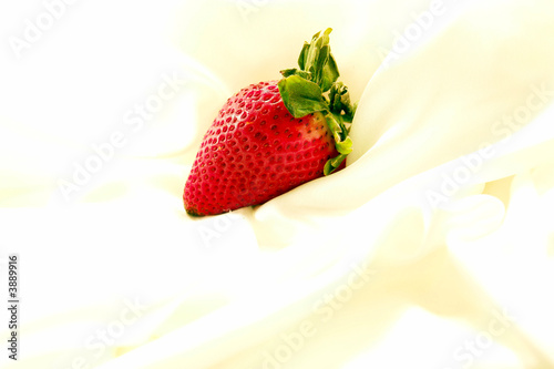 Single strawberry on a cloud of soft white satin