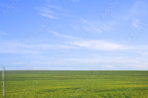 Nature background. Green grass field against a blue sky 