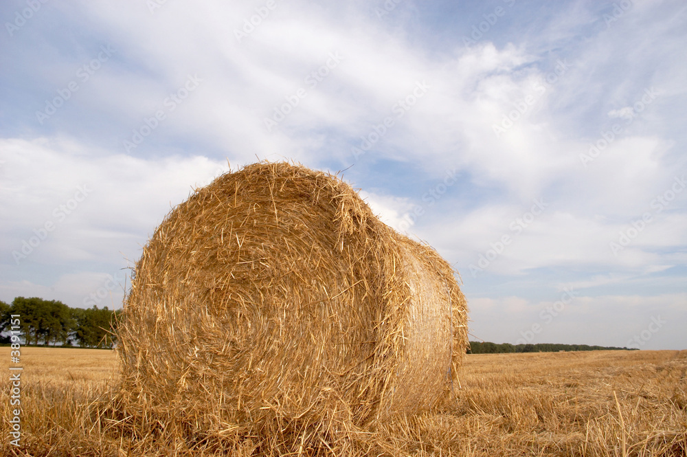 An image of field with roll of straw