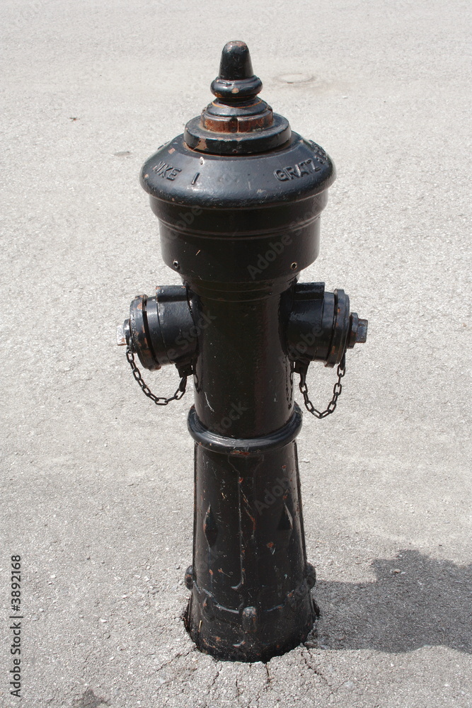 Fototapeta premium hydrant 2