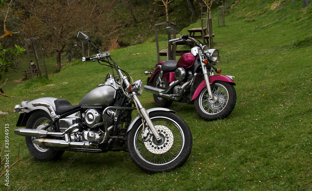 Obraz premium A pair of custom motorbikes