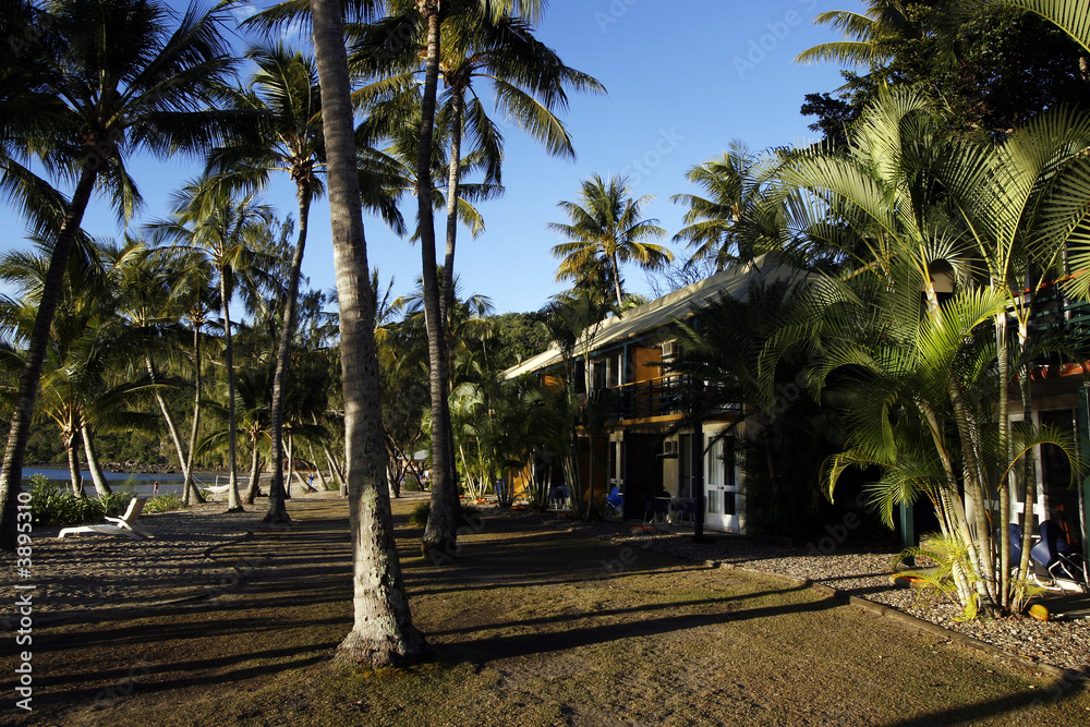 Fototapeta premium tropical island