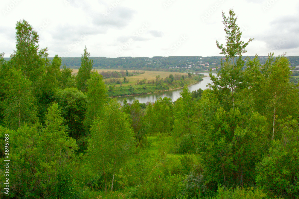 green forest