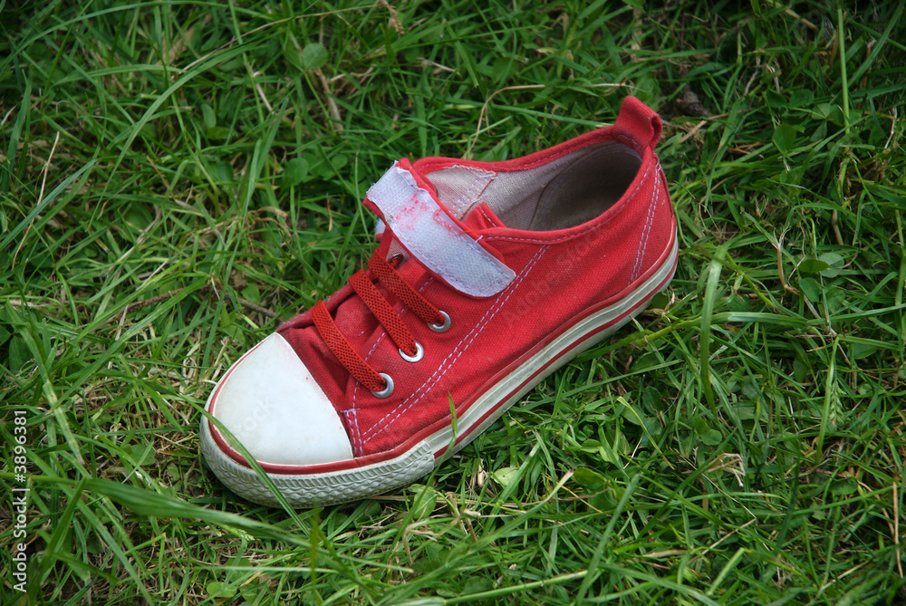 Zapatilla roja de lona