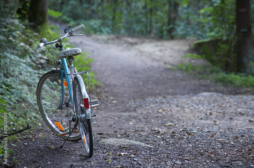 Schotterweg durch einen Wald mit einem Fahrrad Schotterweg durch einen Wald mit einem Fahrrad