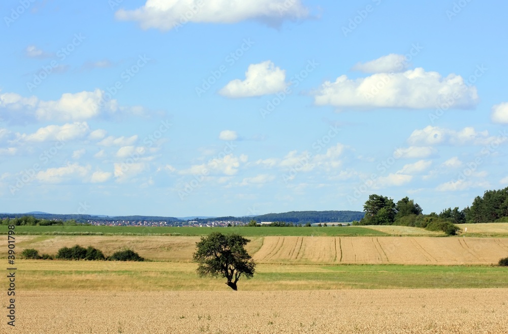 Obraz premium Landschaft im Schwarzwald