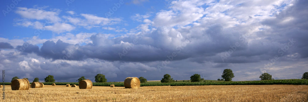 paysage d'été