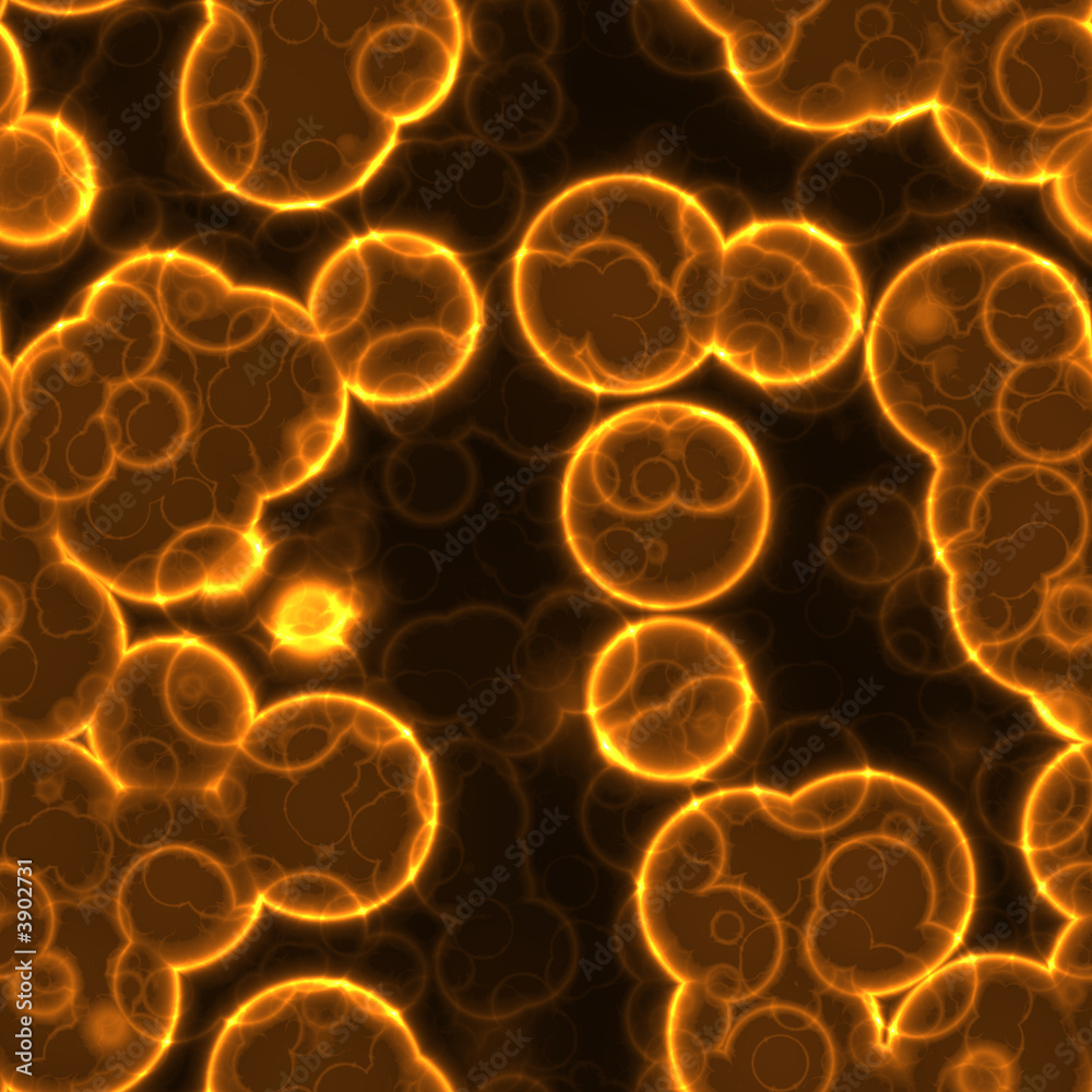 image of cells or bacteria under the microscope image of cells or bacteria under the microscope