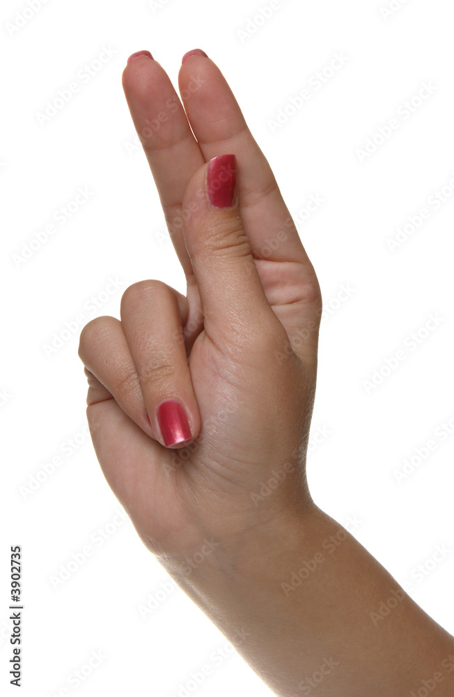 The hand symbol isolated on white background The hand symbol isolated on white background