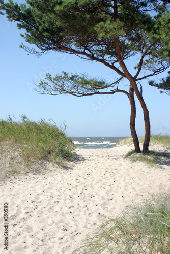 Fototapeta Naklejka Na Ścianę i Meble -  Sandy path to the beach 