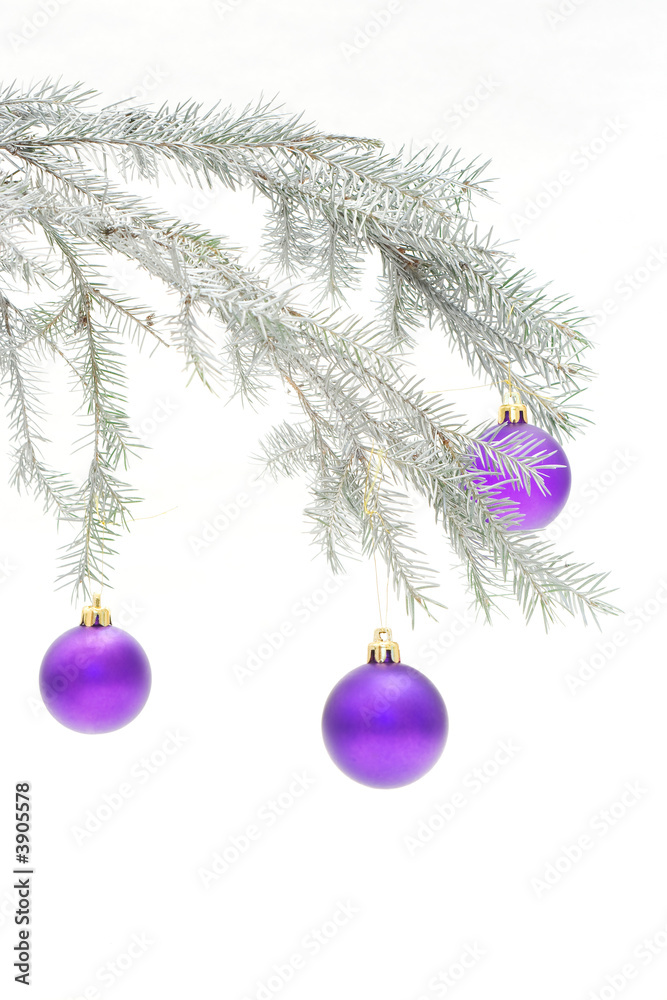 A silvery christmas branch with colorful baubles A silvery christmas branch with colorful baubles