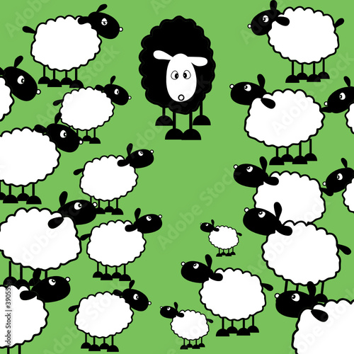 One black sheep amongst lots of white ones