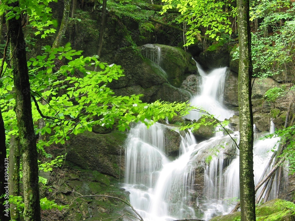 Obraz premium Wasserfall im Wald