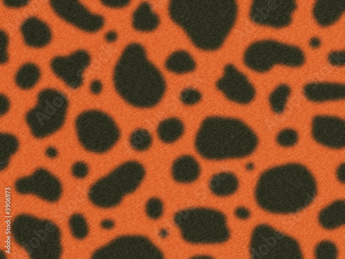 Illustration of the gepard fur
