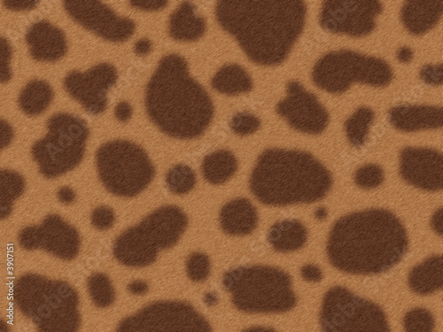 illustration of the leopard fur