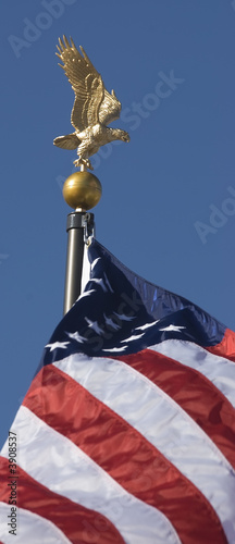 Golden eagle and American Flag