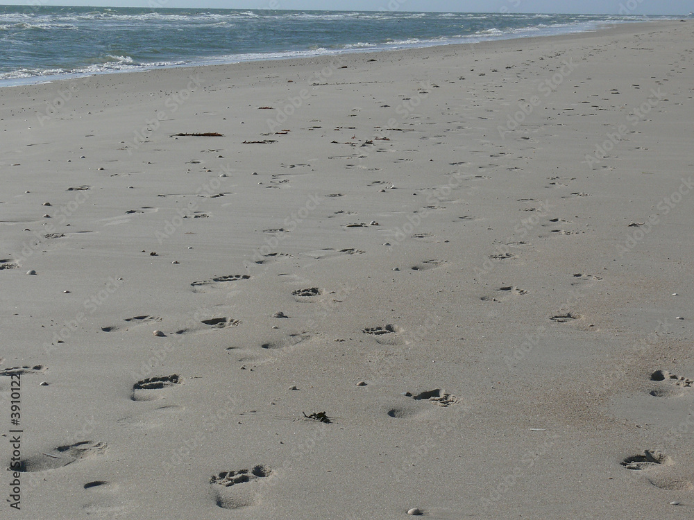 spuren im sand