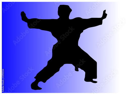 karate3