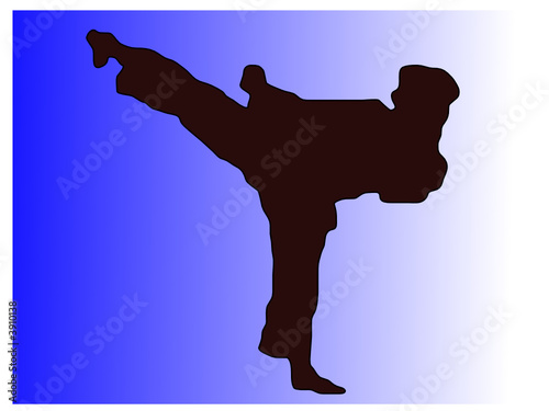 karate 2
