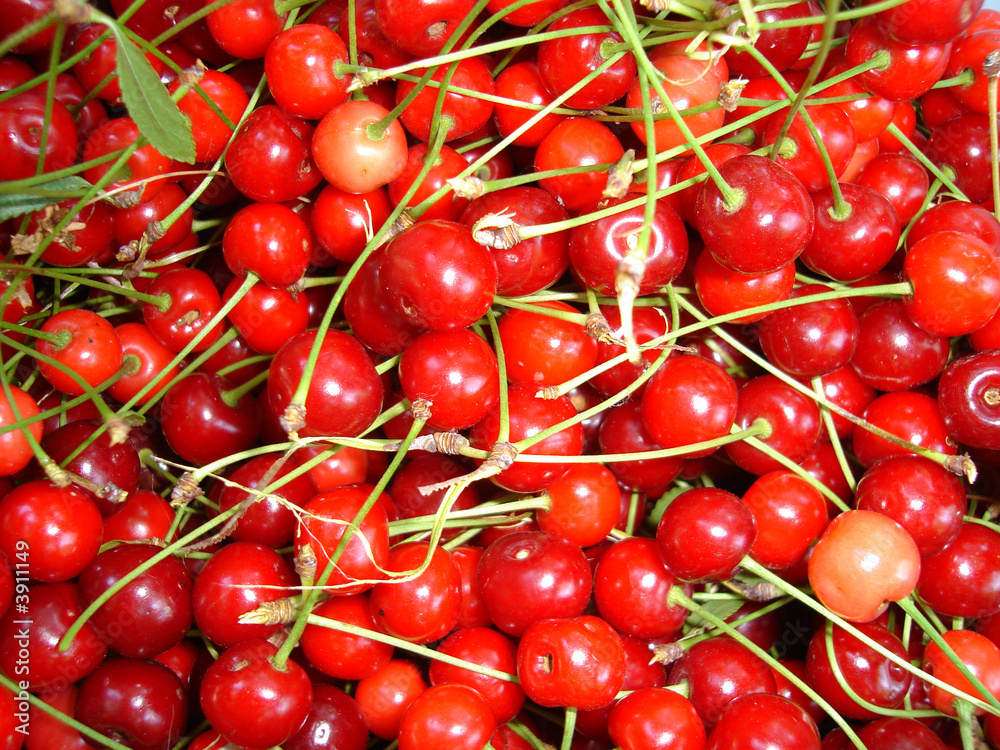 cherry cherry