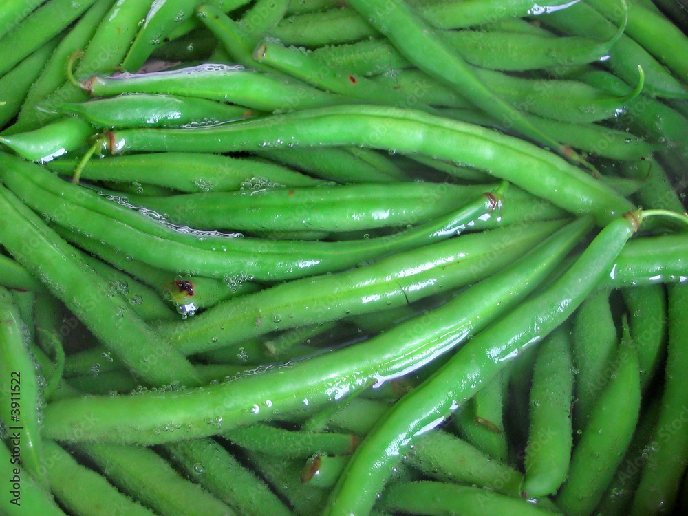 Fresh green boiling beans Fresh green boiling beans