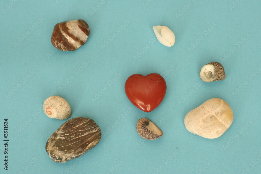 Minéraux et coquillages