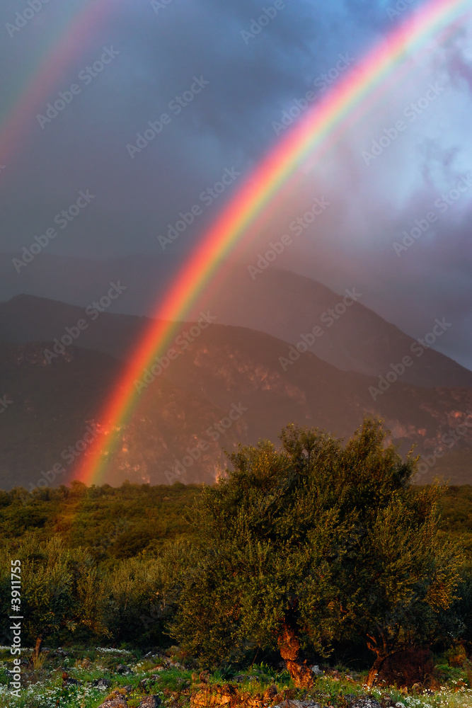 Image shows a vivid rainbow above a countryside field