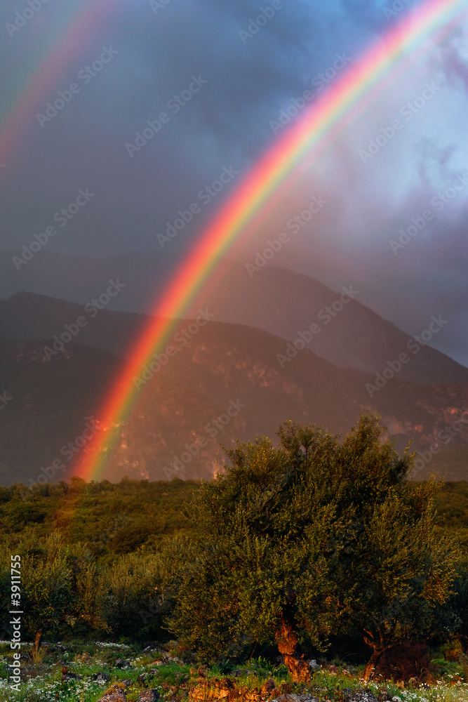 Image shows a vivid rainbow above a countryside field Image shows a vivid rainbow above a countryside field