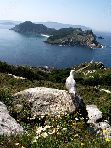 islas cies