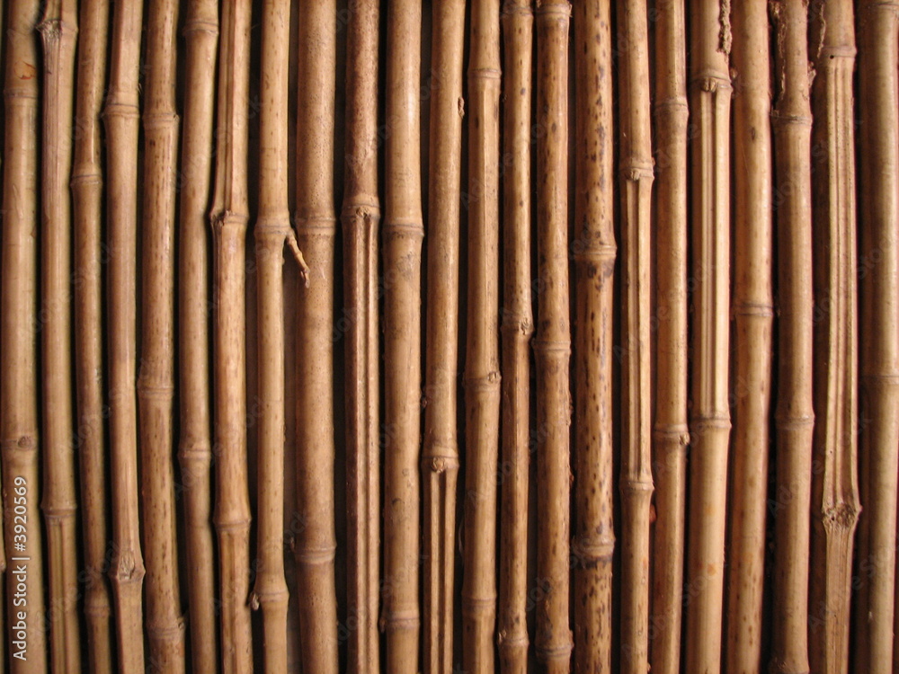 Fototapeta premium mur en bambou